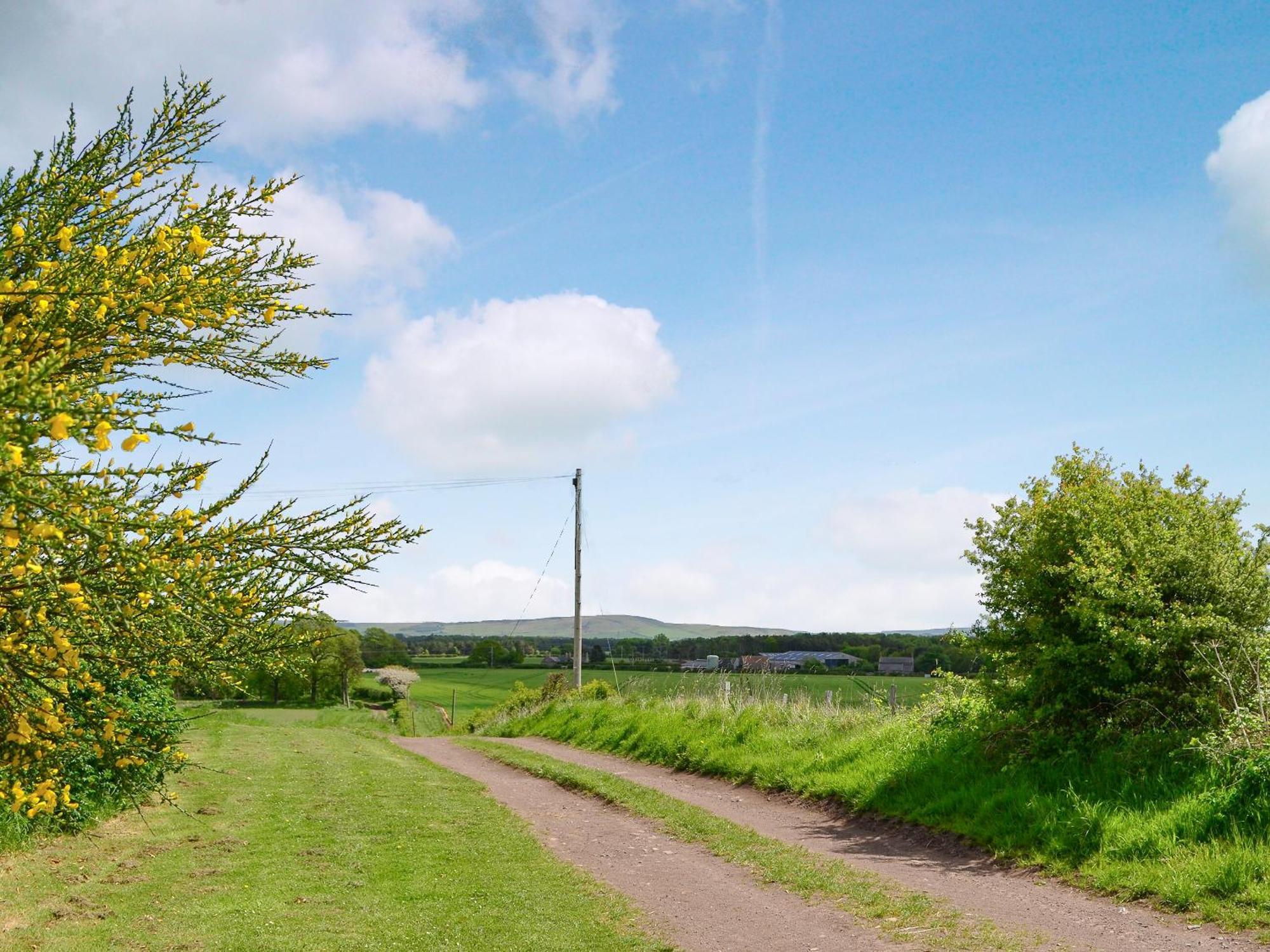 Sandyhouse Cottage Milfield Esterno foto